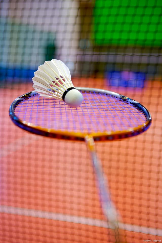 术特点鲜明 术特点鲜明